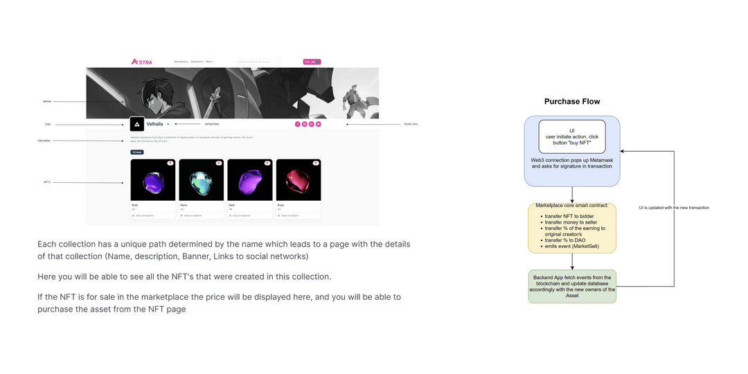 User Login Process